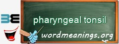 WordMeaning blackboard for pharyngeal tonsil